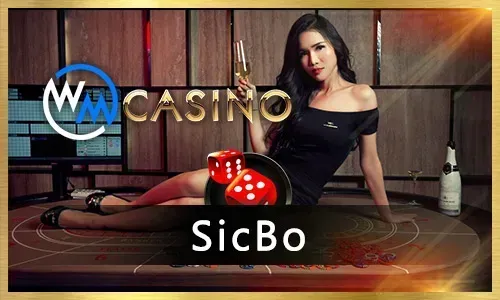 Bingo Plus Game Preview